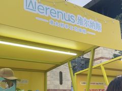 -维尔纳斯·生日蛋糕动物奶油冰淇淋蛋糕(人大店)