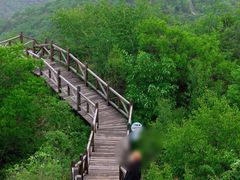 -大岭沟猕猴桃谷风景区