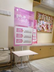 -可樱汇·美容洗发SPA
