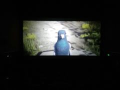 -武汉华夏国际影城(鲁广店)