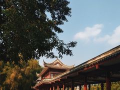 -温江公园