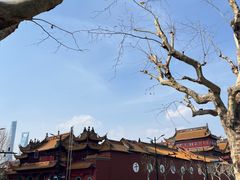 -钦赐仰殿道观