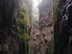 -武陵山森林公园