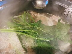 -同仁四季椰子鸡(海岸城天利店)
