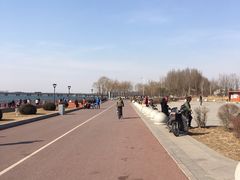 -丁香湖公园