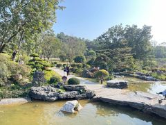 -东莞植物园