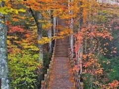 -青峰峡国家森林公园