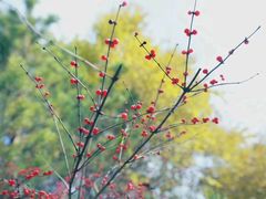 -海底捞火锅(亲子主题北金鹰店)