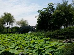 -高子水居