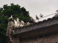-磁器口古镇