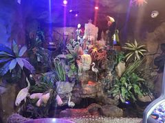 -醉小酒馆·川菜·江湖菜·重庆菜(观音桥旗舰店)