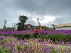 -华侨城阳宗海海景温泉
