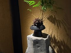 -觀芷隐轩