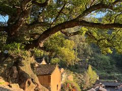 -杨家堂村