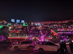 -枇杷园食为鲜火锅(南山店)