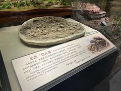 -辽宁古生物博物馆