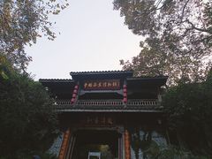 -中国茶叶博物馆(双峰馆区)