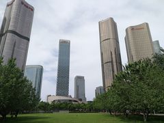 -大望京公园
