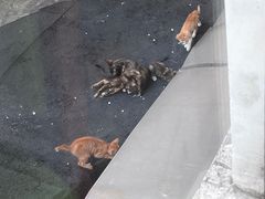 -潮福城大酒楼·潮味粤品·港式点心(湖滨北路店)