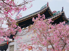 -宝墨园景区