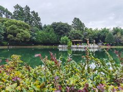 -蝴蝶泉公园