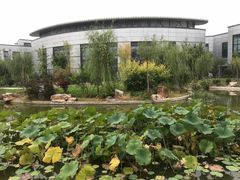 -北京国家会计学院