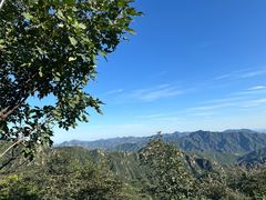 -大岭沟猕猴桃谷风景区