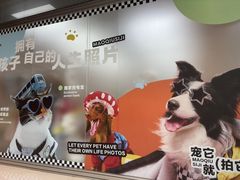 -帕帕拉兹宠物(亚洲旗舰店)