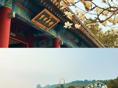 -颐和园