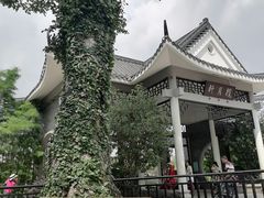 -映月湖公园