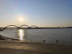 -哈尔滨道外花鸟鱼市场