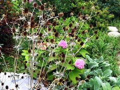 -意大利农场度假村