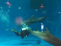 -华夏文旅海洋公园