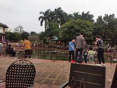 -侯臣咖啡文化村