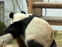 -无锡动物园·太湖欢乐园
