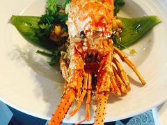 -Onion restaurant