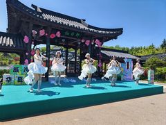 -《神游传奇》秀