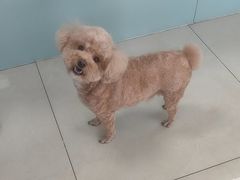 -北京观赏动物医院·24小时大型综合·猫专科·异宠专科