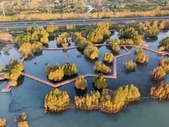 -贡湖湾湿地公园