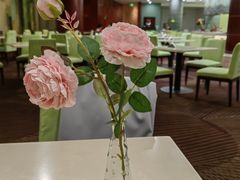 -上海浦东丽晟假日酒店
