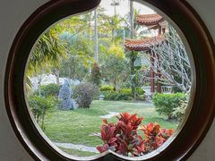 -深圳仙湖植物园