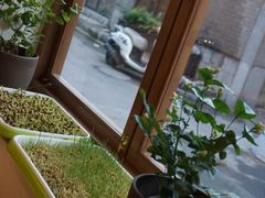 -朵朵开素食餐厅(后宰门街店)