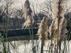 -木守西溪溪隐餐厅