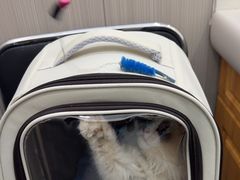 -佑安动物医院·全科·内窥镜中心(幸福巷店)