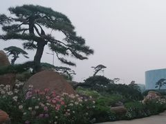 -罗红摄影艺术馆