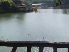 -观澜山水田园