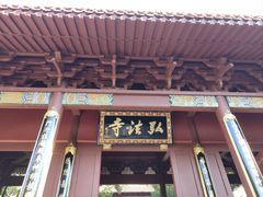 -深圳仙湖植物园