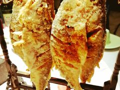 垂钓小黄鱼-北平盛世·新京菜·北京烤鸭(劲松·双井店)