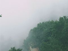 -少华山国家森林公园
