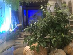 -春盛渔府(牛首山店)